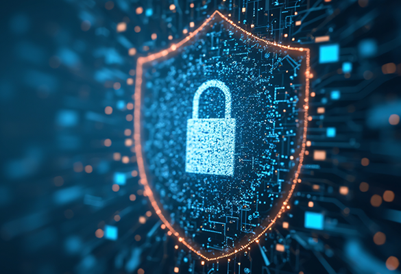 Carahsoft + Broadcom_CMSSite_Designing a Dynamic Security Strategy8
