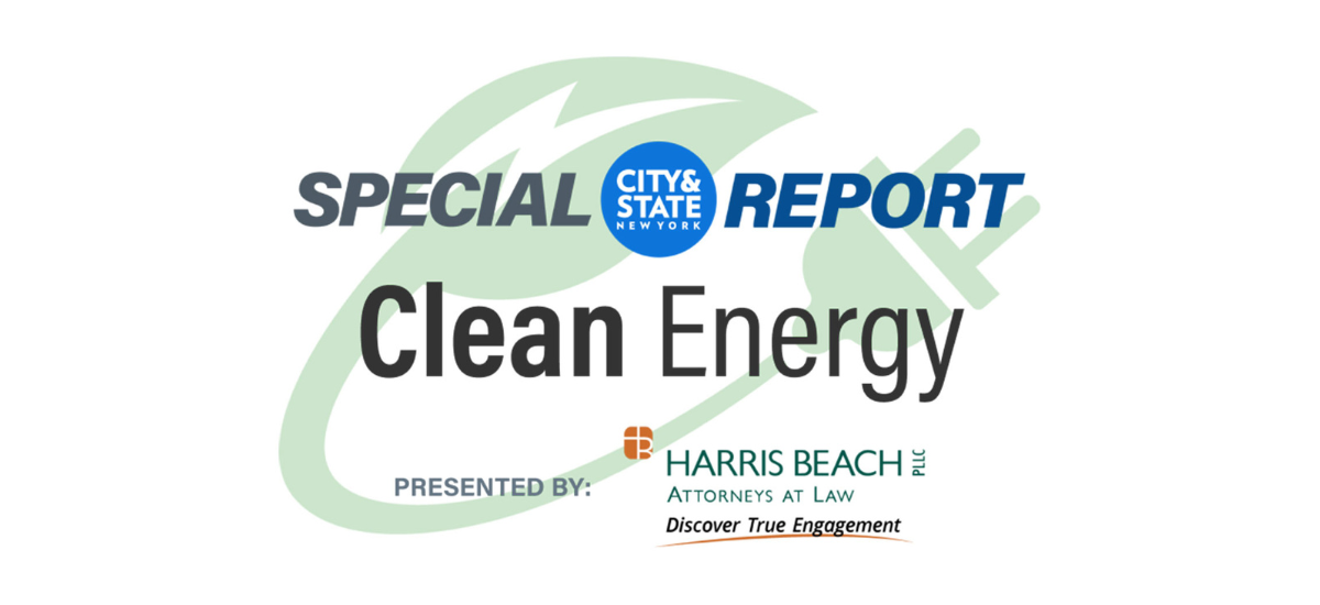 Special Report-Clean Energy